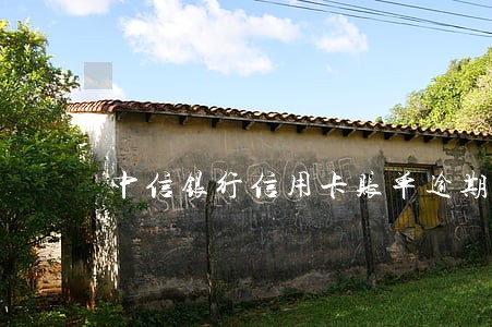 中信银行信用卡账单逾期一天