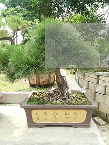 中信银行信用卡贷款逾期一天 中信银行信用卡贷款逾期一天