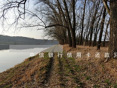 中信银行信用卡还款只还本金 中信银行信用卡还款只还本金