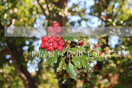 中信银行信用卡还款日逾期