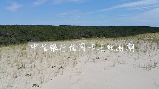 中信银行信用卡还款逾期 中信银行信用卡还款逾期