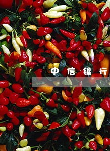 中信银行信用卡还款逾期怎么计算 中信银行信用卡还款逾期怎么计算