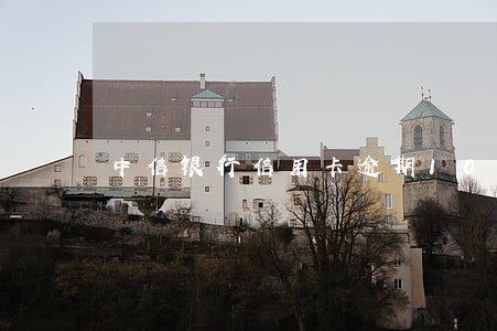 中信银行信用卡逾期10万