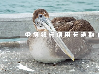 中信银行信用卡逾期10个月了 中信银行信用卡逾期10个月了