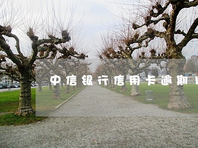 中信银行信用卡逾期10几万