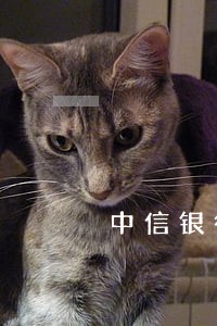 中信银行信用卡逾期180