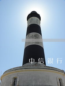 中信银行信用卡逾期1个星期 中信银行信用卡逾期1个星期