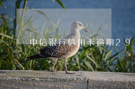 中信银行信用卡逾期2900 中信银行信用卡逾期2900