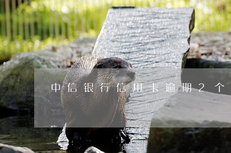 中信银行信用卡逾期2个月后果 中信银行信用卡逾期2个月后果