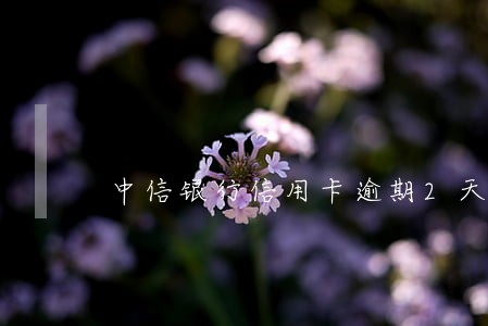 中信银行信用卡逾期2天 中信银行信用卡逾期2天