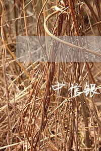 中信银行信用卡逾期3000