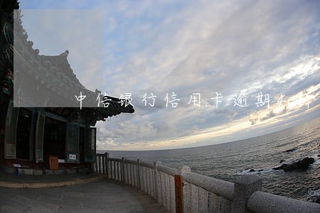 中信银行信用卡逾期4个多月被锁