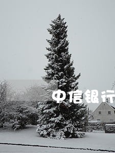中信银行信用卡逾期4个月后果 中信银行信用卡逾期4个月后果