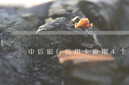 中信银行信用卡逾期4个月怎么办 中信银行信用卡逾期4个月怎么办