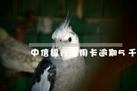 中信银行信用卡逾期5千1个月