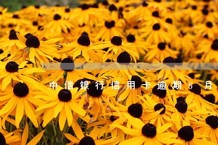 中信银行信用卡逾期5月 中信银行信用卡逾期5月