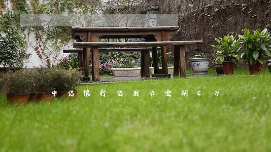 中信银行信用卡逾期6万