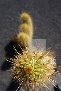 中信银行信用卡逾期一万 中信银行信用卡逾期一万