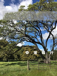 中信银行信用卡逾期一个星期