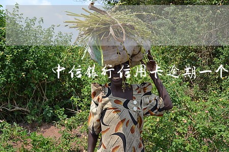 中信银行信用卡逾期一个月怎么办 中信银行信用卡逾期一个月怎么办