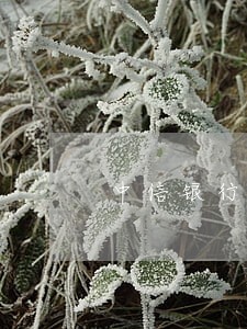 中信银行信用卡逾期一个月还钱 中信银行信用卡逾期一个月还钱