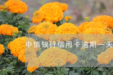 中信银行信用卡逾期一天未还款 中信银行信用卡逾期一天未还款