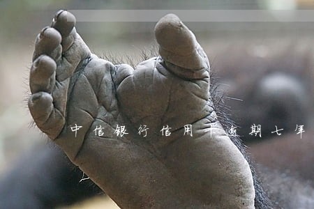 中信银行信用卡逾期七年怎么办