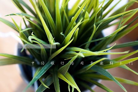 中信银行信用卡逾期上门