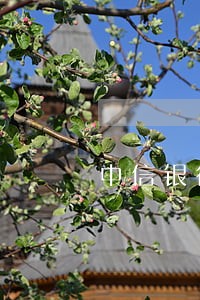 中信银行信用卡逾期上门短信截图 中信银行信用卡逾期上门短信截图