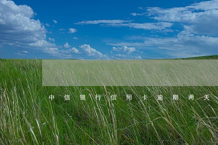 中信银行信用卡逾期两天会怎么样 中信银行信用卡逾期两天会怎么样