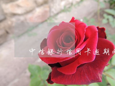 中信银行信用卡逾期两天怎么办 中信银行信用卡逾期两天怎么办