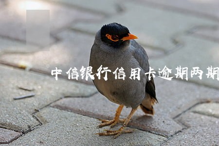 中信银行信用卡逾期两期
