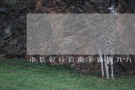 中信银行信用卡逾期九万 中信银行信用卡逾期九万