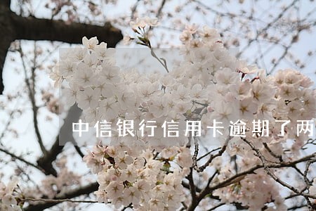 中信银行信用卡逾期了两天 中信银行信用卡逾期了两天