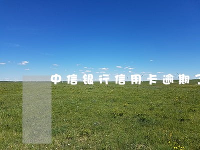 中信银行信用卡逾期了催收