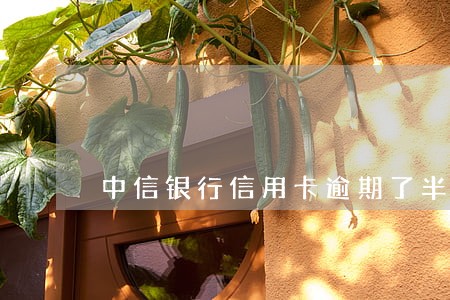 中信银行信用卡逾期了半年