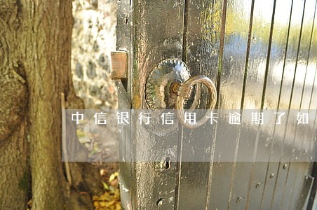 中信银行信用卡逾期了如何协商 中信银行信用卡逾期了如何协商