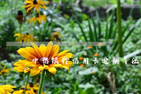 中信银行信用卡逾期了法院开庭 中信银行信用卡逾期了法院开庭