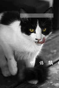 中信银行信用卡逾期五天降额 中信银行信用卡逾期五天降额
