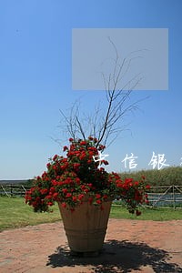 中信银行信用卡逾期会坐牢吗