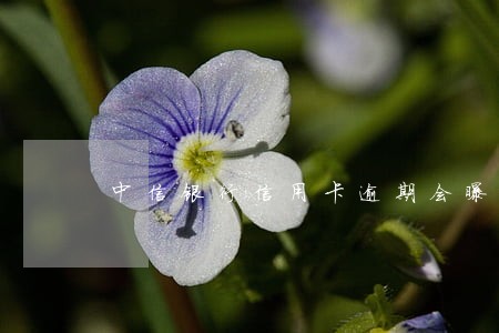 中信银行信用卡逾期会曝通讯录吗 中信银行信用卡逾期会曝通讯录吗