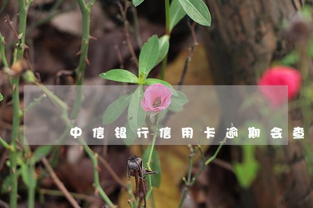 中信银行信用卡逾期会查封房产吗 中信银行信用卡逾期会查封房产吗