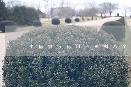 中信银行信用卡逾期八个月 中信银行信用卡逾期八个月