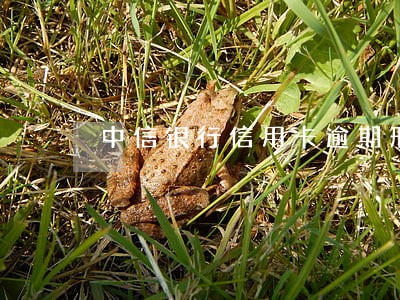 中信银行信用卡逾期刑事案件 中信银行信用卡逾期刑事案件