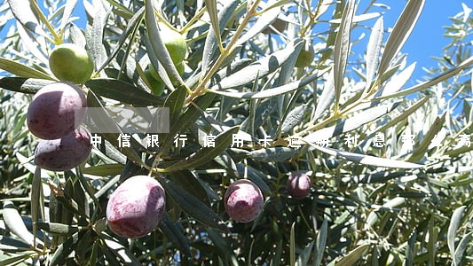 中信银行信用卡逾期利息那么高 中信银行信用卡逾期利息那么高
