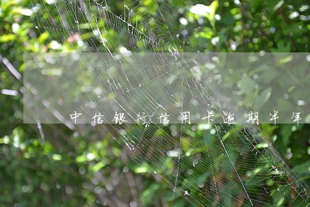 中信银行信用卡逾期半年去协商