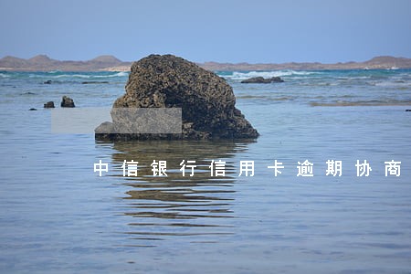 中信银行信用卡逾期协商减免技巧 中信银行信用卡逾期协商减免技巧
