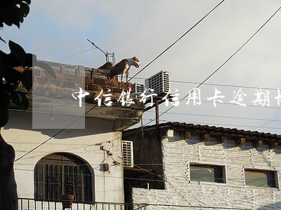 中信银行信用卡逾期协商流程 中信银行信用卡逾期协商流程