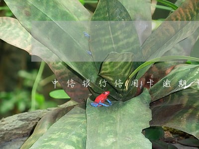 中信银行信用卡逾期卡被冻结 中信银行信用卡逾期卡被冻结