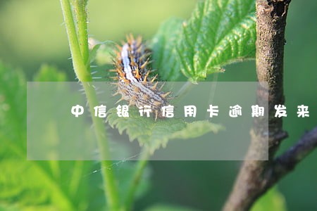 中信银行信用卡逾期发来律师函 中信银行信用卡逾期发来律师函